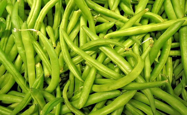 Haricots verts - Pixabay