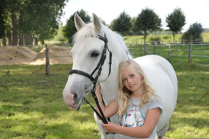poney 01